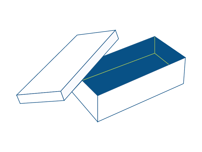 Premium Shoe Box